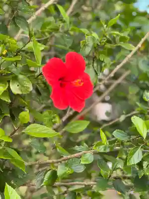 川平観音堂(沖縄県)