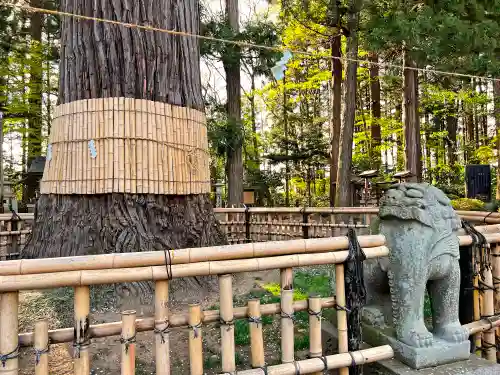 日高神社の狛犬