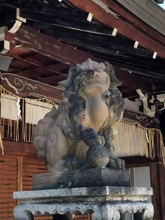 京都ゑびす神社の狛犬