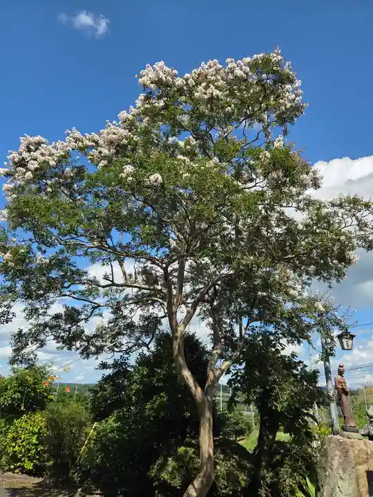 延命寺(福島県)