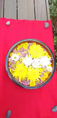 増上寺塔頭 三縁山 宝珠院の手水舎