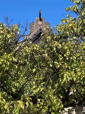 薬師院(神奈川県)