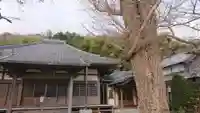 胎蔵寺の本殿・本堂