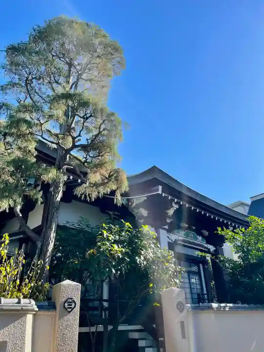 阿弥陀寺(東京都)