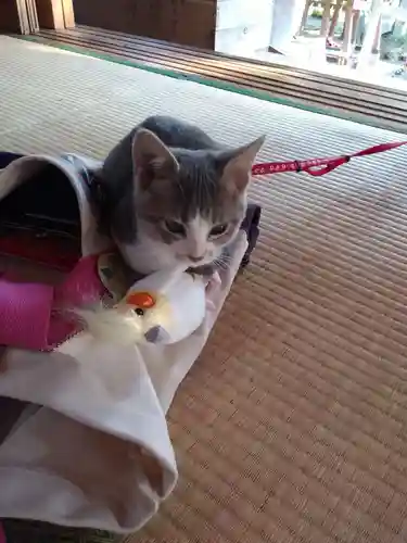 高司神社〜むすびの神の鎮まる社〜(福島県)