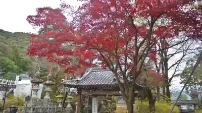松尾大社の山門・神門