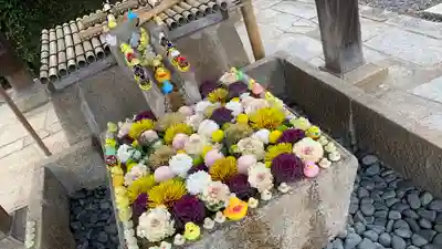 くろ谷 金戒光明寺(京都府)