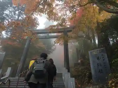 武蔵御嶽神社の鳥居
