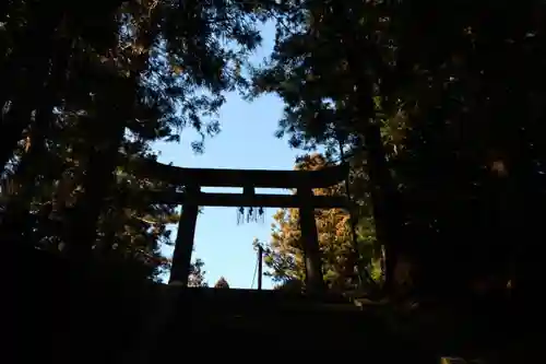 油井神社の鳥居