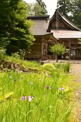 白山神社（長滝神社・白山長瀧神社・長滝白山神社）(岐阜県)