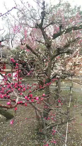 北野天満宮の庭園