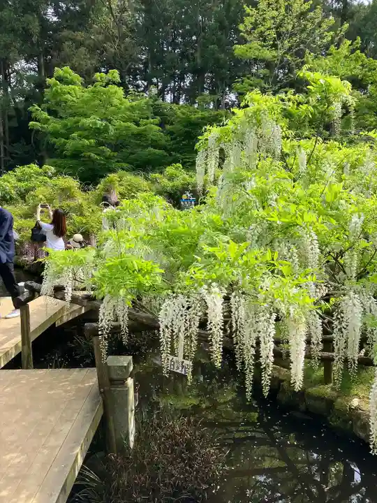 春日大社(奈良県)