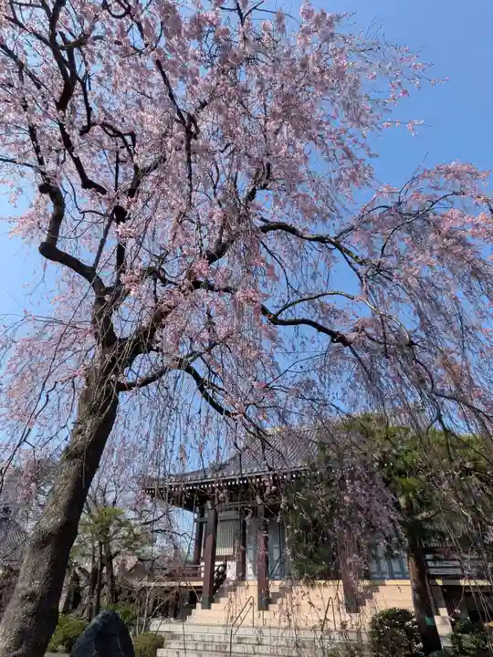 圓照寺(東京都)