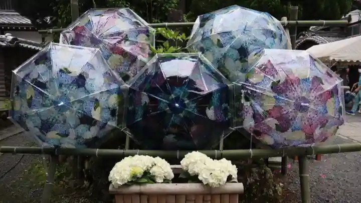 柳谷観音 楊谷寺(京都府)