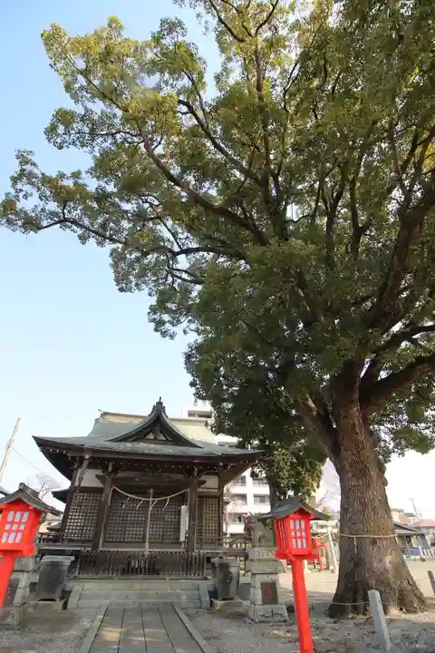八幡神社(埼玉県)