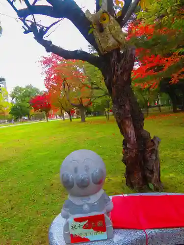 札幌護國神社の七五三参
