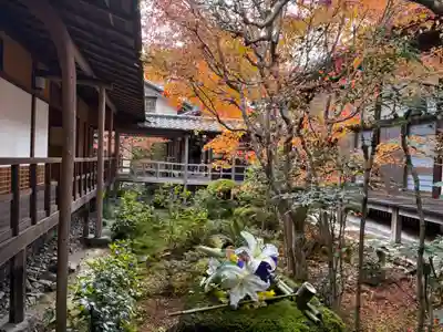 安楽寺(京都府)