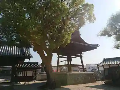 昌福寺のその他建物