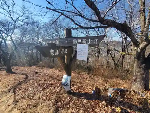 雷電神社（助戸東山町）(栃木県)