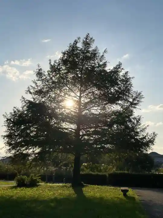 鞆江神社(明地)(愛知県)