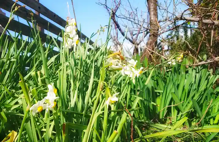尾張大國霊神社(国府宮)の自然
