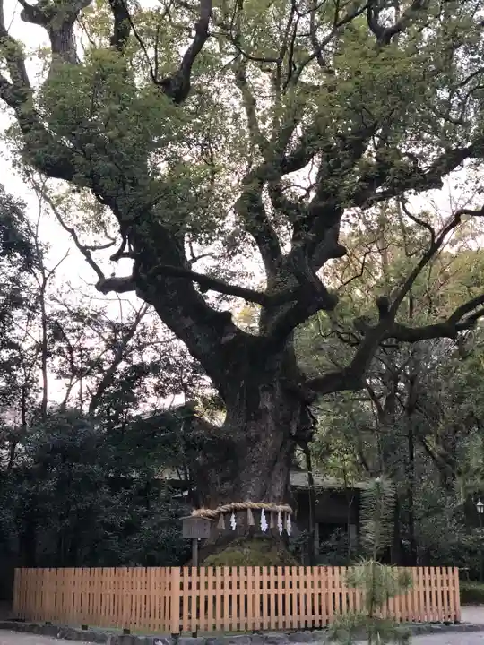 熱田神宮の自然