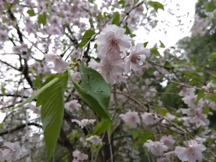 白山神社(福井県)