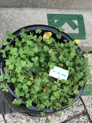 徳島眉山天神社のその他建物