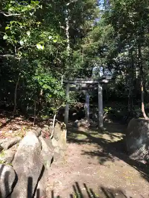 木嶋坐天照御魂神社の鳥居