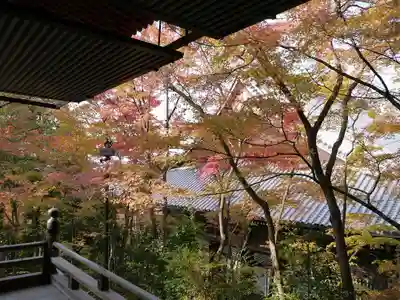 禅林寺(永観堂)のその他建物