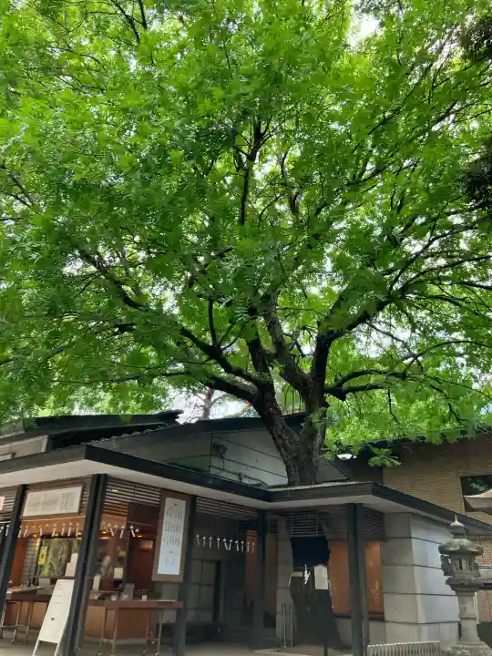 乃木神社(東京都)