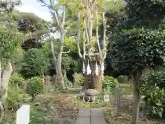 江島神社の庭園