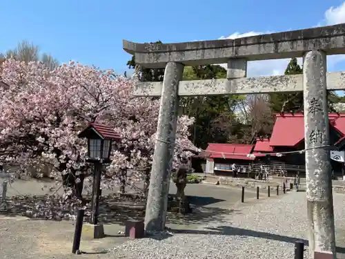 松前神社の鳥居