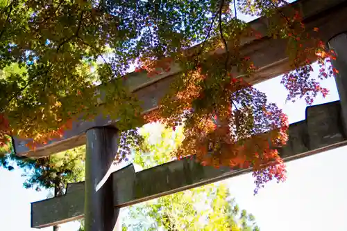 高麗神社の鳥居