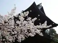 円覚寺の本殿・本堂