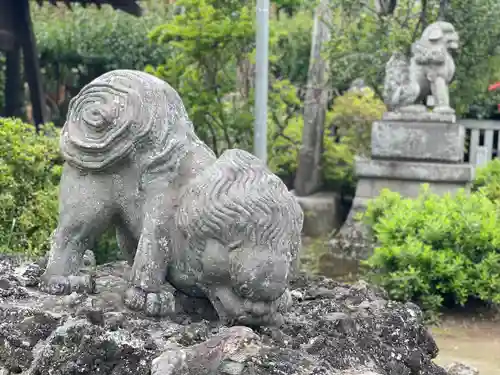境香取神社の狛犬