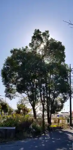 長沼白山神社(埼玉県)