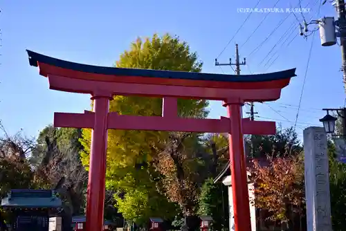 鷲宮神社の鳥居