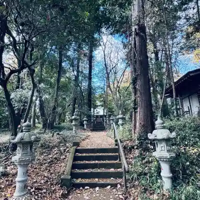 鳩峯八幡神社(埼玉県)
