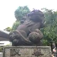 五條天神社の狛犬