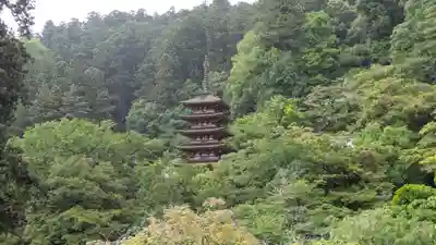 長谷寺(奈良県)