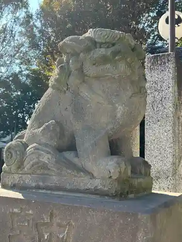 川越熊野神社の狛犬