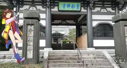 青松寺の山門