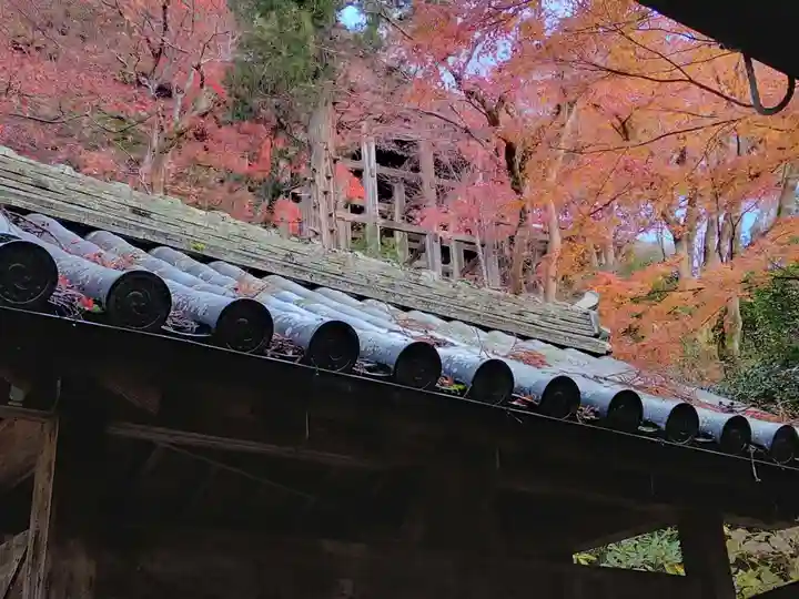 長谷寺(奈良県)