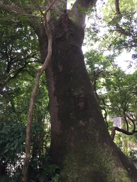 葭原神社(皇大神宮末社)の自然