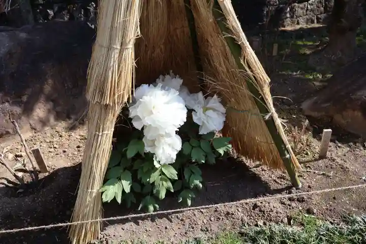 祐徳稲荷神社(佐賀県)