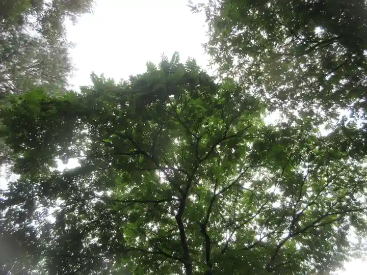 赤間神宮(栃木県)