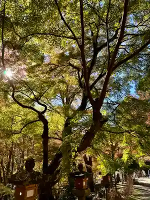 談山神社(奈良県)