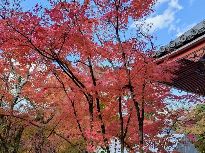 禅林寺(永観堂)(京都府)