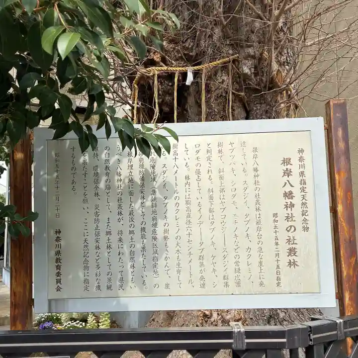 根岸八幡神社(神奈川県)